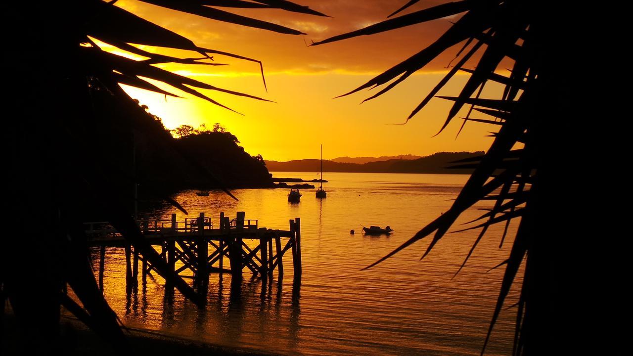 The Beach HouseKawau Island エクステリア 写真